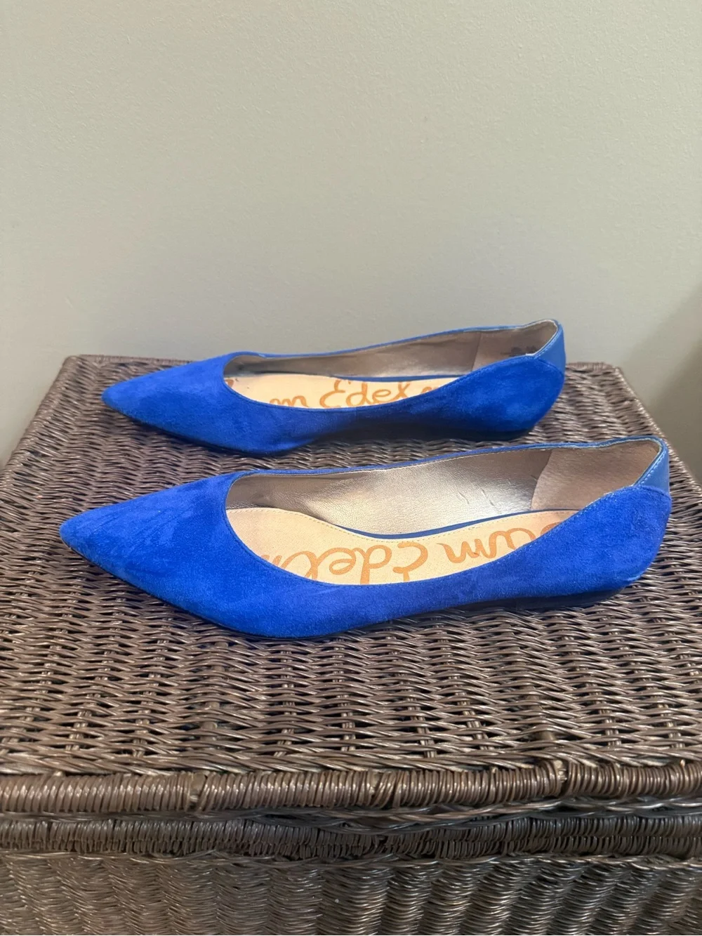 Sam Edelman Electric Blue Suede Pointed Flats